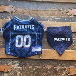 XS pet jersey and bandanna